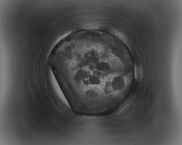 X0000086730675200705041348