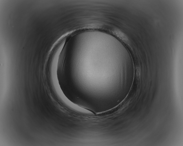 X0000086730676200705041348