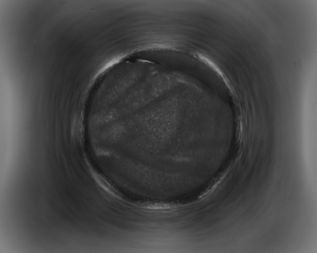 X0000086730677200705041348