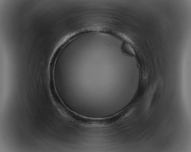 X0000086730678200705041348