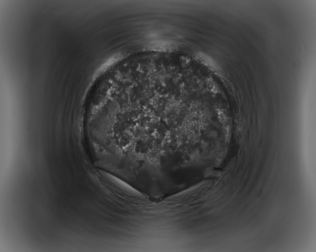 X0000086730679200705041348