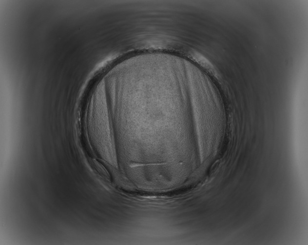 X0000086730680200705041348