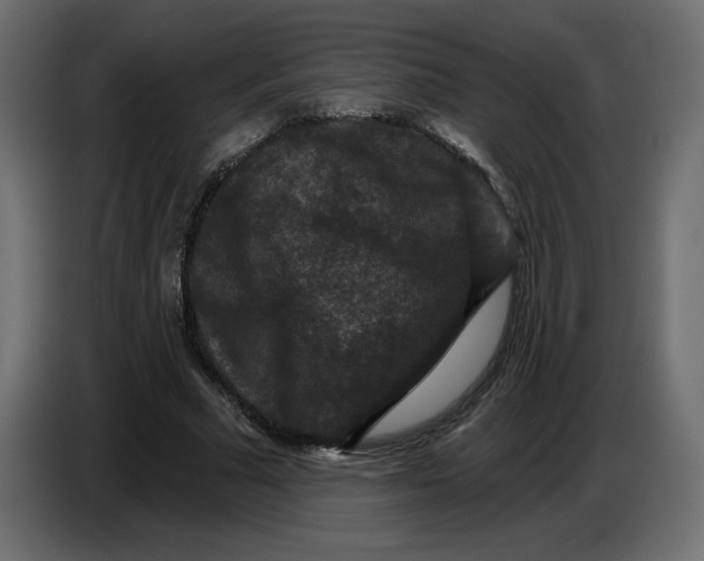 X0000086730681200705041348