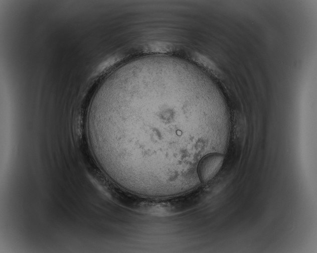 X0000086730683200705041348