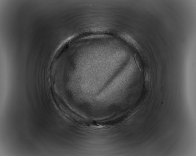 X0000086730684200705041348