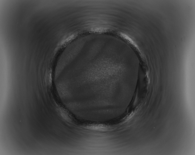 X0000086730685200705041348