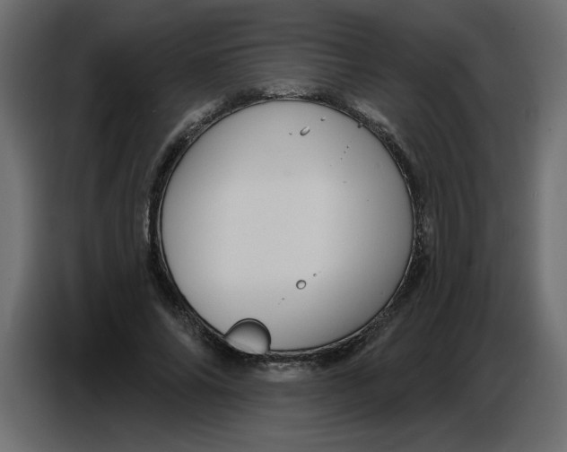 X0000086730686200705041348