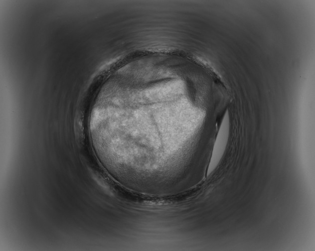 X0000086730688200705041348