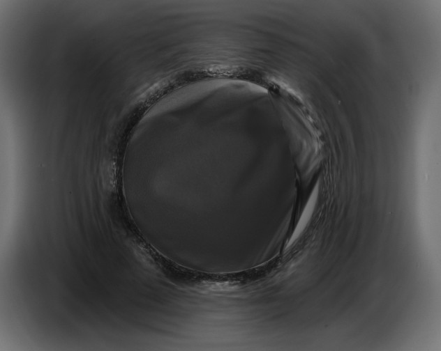 X0000086730689200705041348