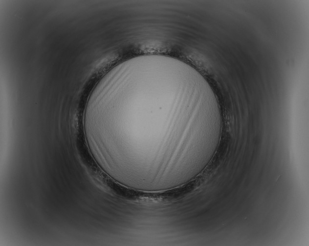 X0000086730690200705041348