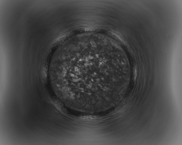 X0000086730691200705041348