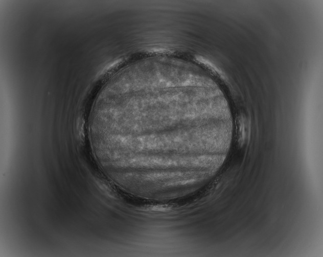 X0000086730692200705041348