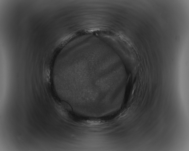 X0000086730693200705041348