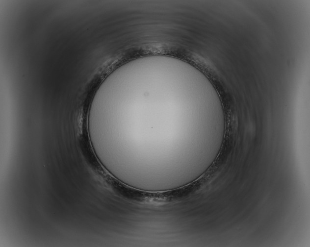 X0000086730694200705041348