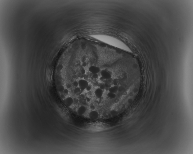 X0000086730695200705041348