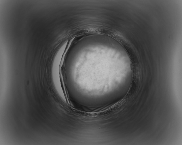 X0000086730696200705041348