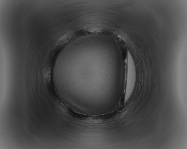 X0000086730697200705041348