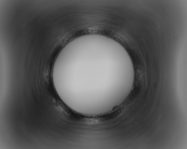 X0000086730698200705041348