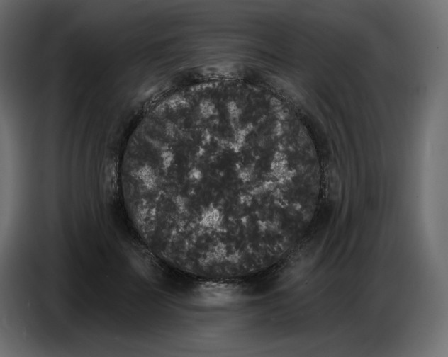 X0000086730699200705041348