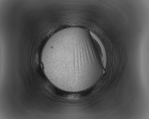 X0000086730700200705041348