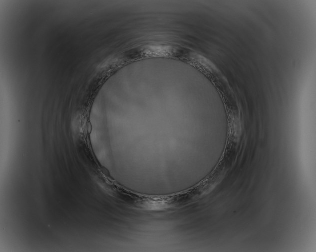 X0000086730701200705041348