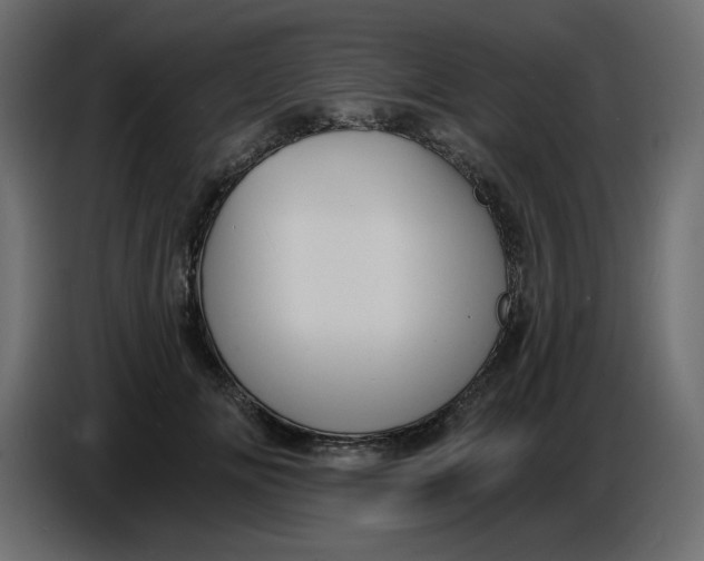 X0000086730702200705041348