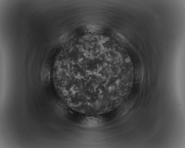 X0000086730703200705041348