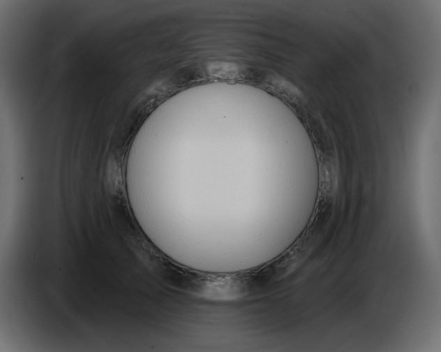 X0000086730705200705041347