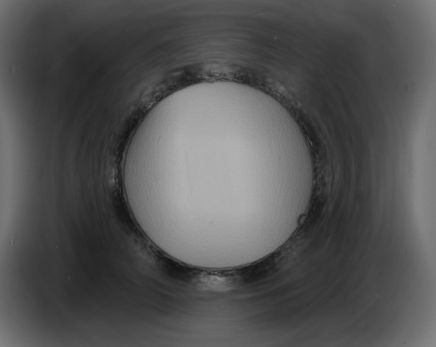 X0000086730706200705041347