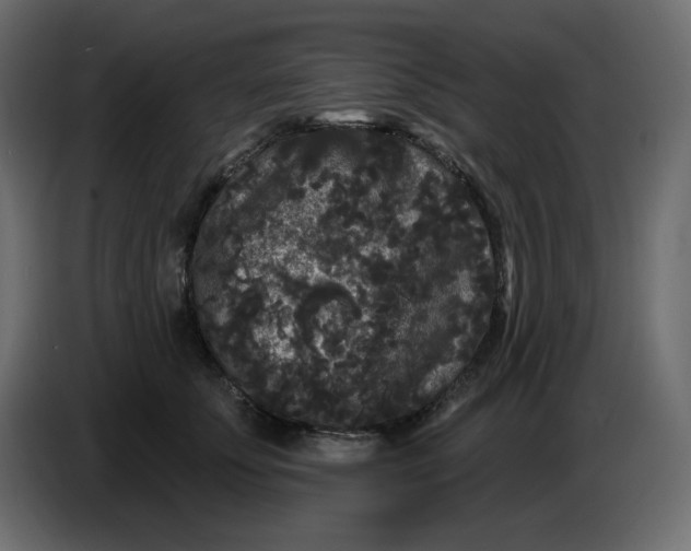 X0000086730707200705041347