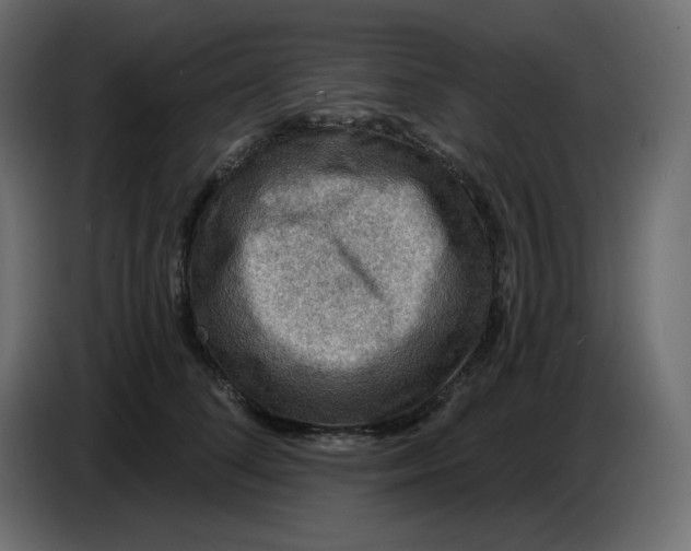 X0000086730708200705041347