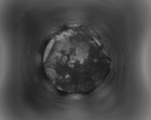 X0000086730711200705041347