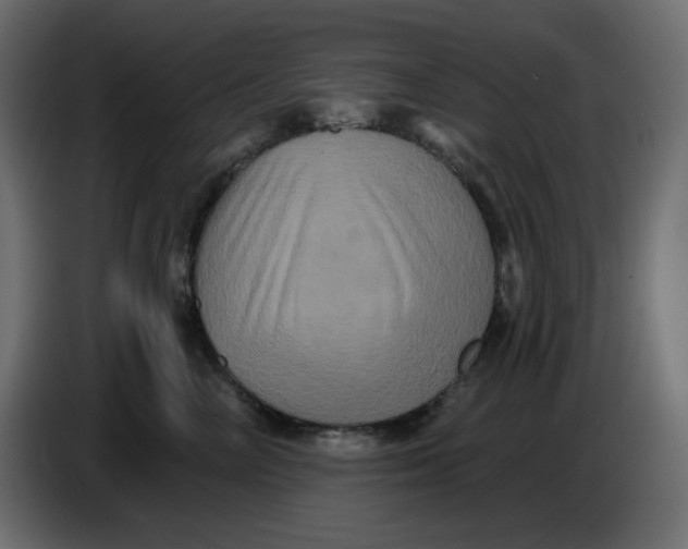 X0000086730714200705041347