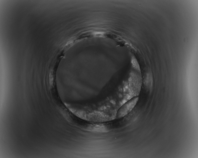 X0000086730715200705041347