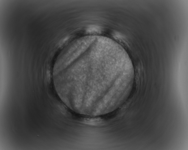 X0000086730716200705041347