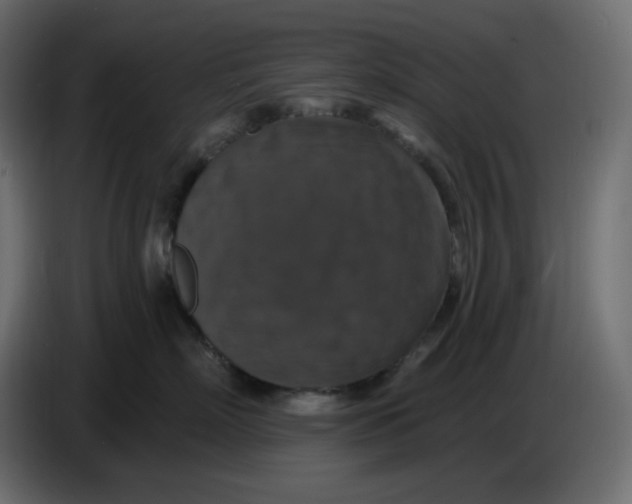 X0000086730718200705041347