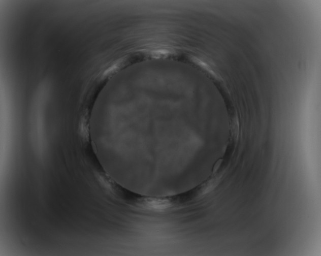 X0000086730719200705041347