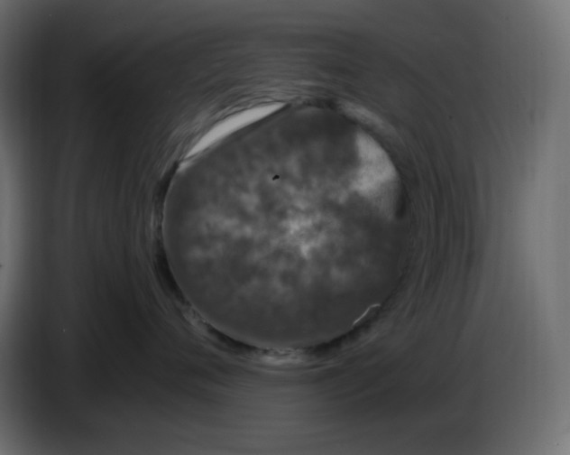 X0000086730720200705041347