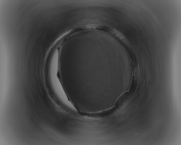 X0000086730722200705041347