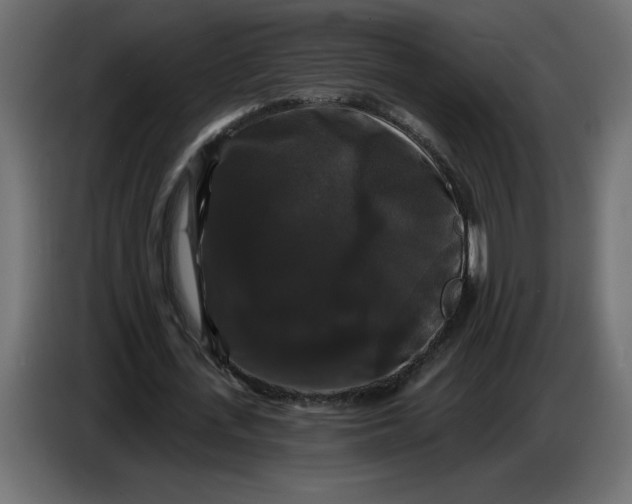 X0000086730723200705041347