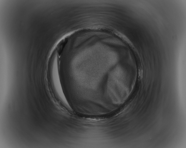 X0000086730724200705041347