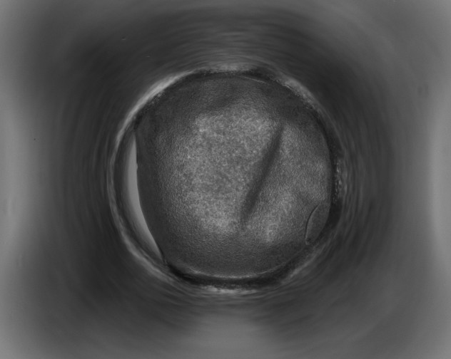 X0000086730726200705041347