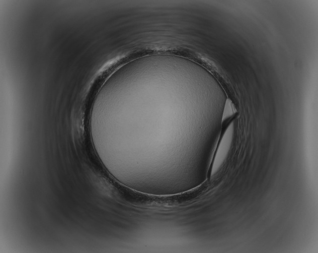 X0000086730727200705041347