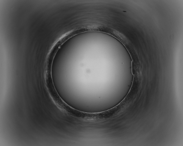 X0000086730728200705041347