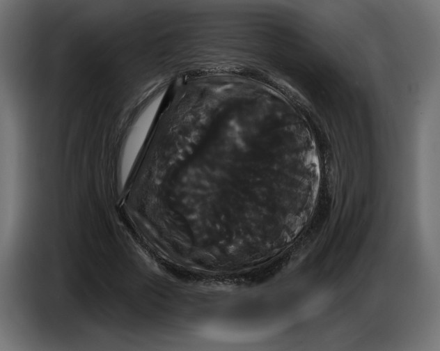 X0000086730729200705041347