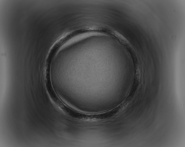 X0000086730730200705041347