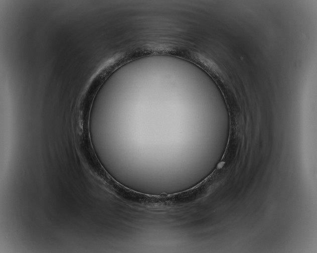 X0000086730731200705041347