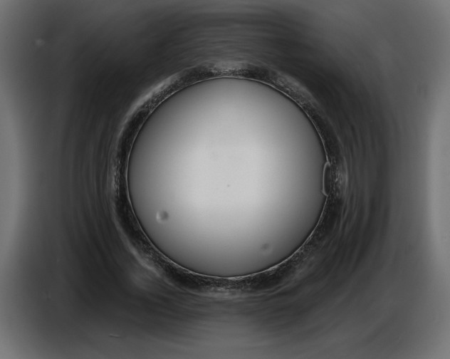 X0000086730732200705041347