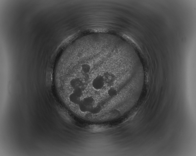 X0000086730733200705041347