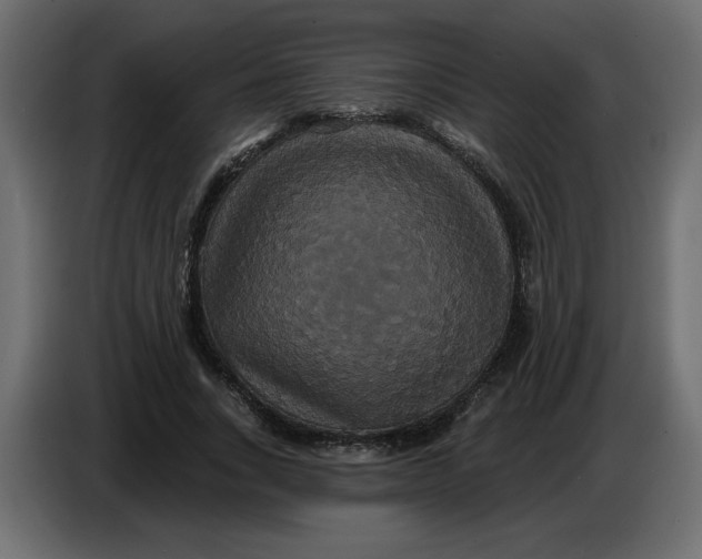 X0000086730735200705041347